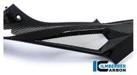 Comp. carb. per BMW S1000 R dal 2014