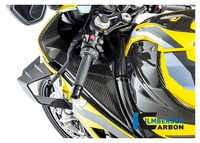 Cz. z wł. węg. do BMW S1000 RR od 2019