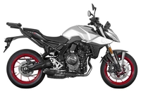 Porte-Bagages Pour Top Case