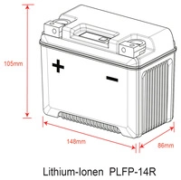 DELO LITHIUM-ION-BATTERIE