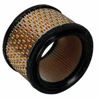 CHAMPION AIRFILTER V300