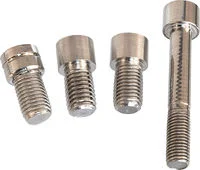 MOTOGADGET MO.VIEW SCREW-