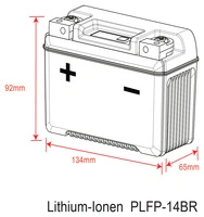 BATTERIE LITHIUM-ION DELO