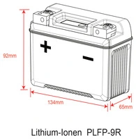 BATTERIA LI-ION DELO