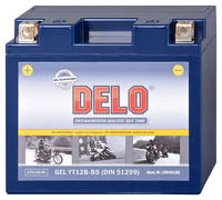 DELO GEL-ACCU