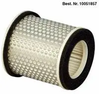 AIR FILTER DELO