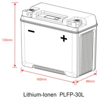 BATTERIA LI-ION DELO