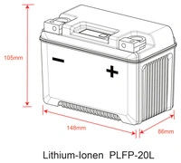 DELO LITHIUM-ION-BATTERIE