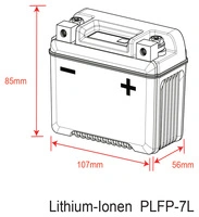 BATTERIE LITHIUM-ION DELO