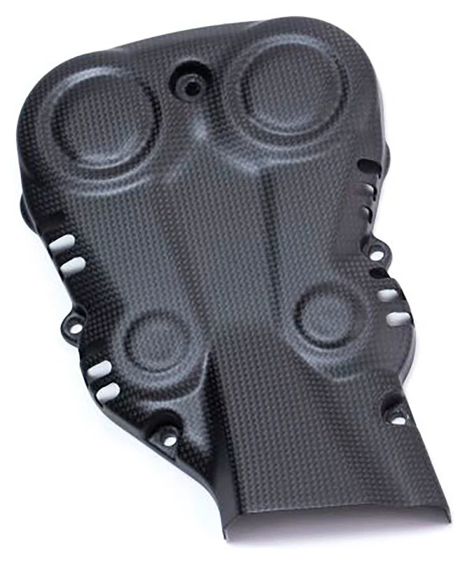 Carbon Teile für Ducati Monster/matt