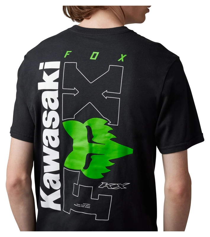 Kawasaki X Kawi