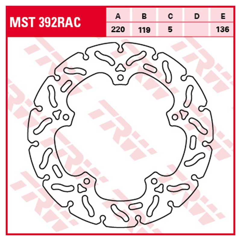 Bremsscheiben Racing, Hinten