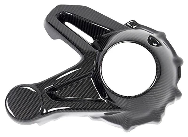 Carbon parts for BMW R1250 GS/Adventure