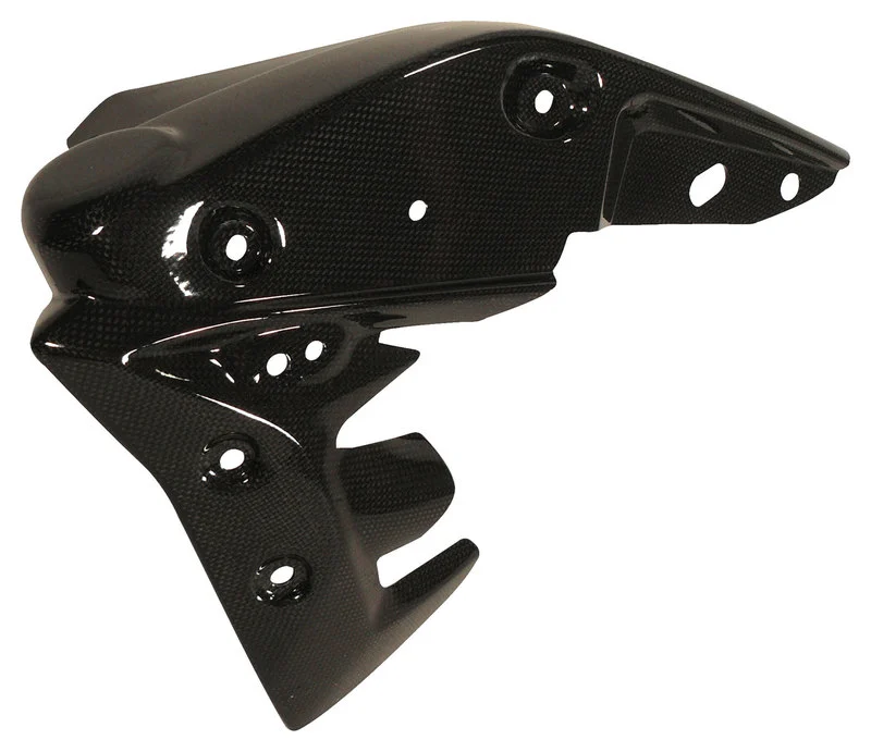 Carbon parts Triumph Speed Triple 11-15
