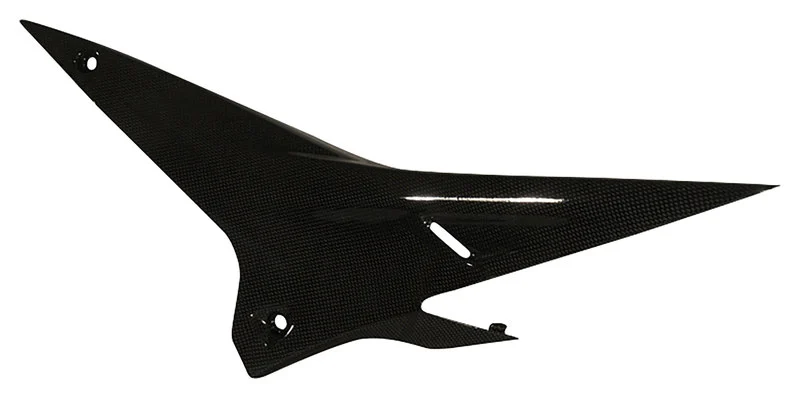 Carbon parts for Aprilia Tuono V4 2011-