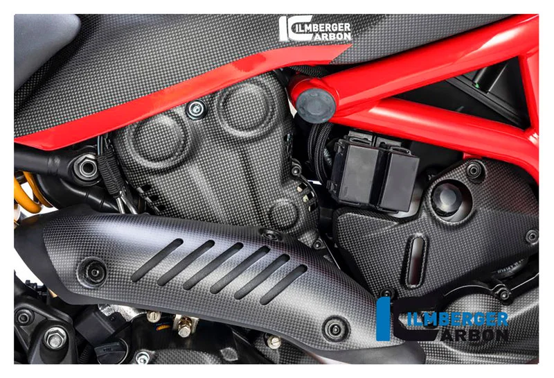 Carbon parts for Ducati Monster 1200/matte