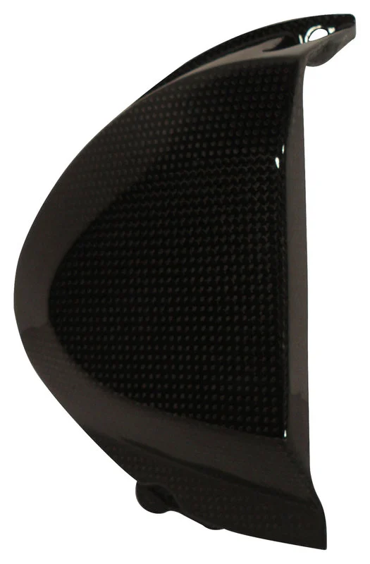 Carbon parts Triumph Speed Triple 11-15