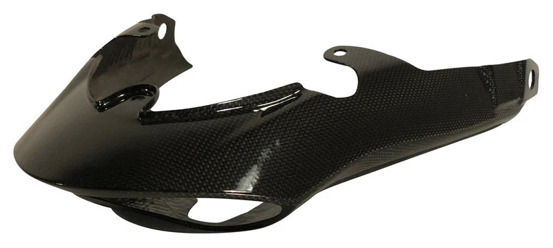Carbonteile Triumph Speed Triple 11-15