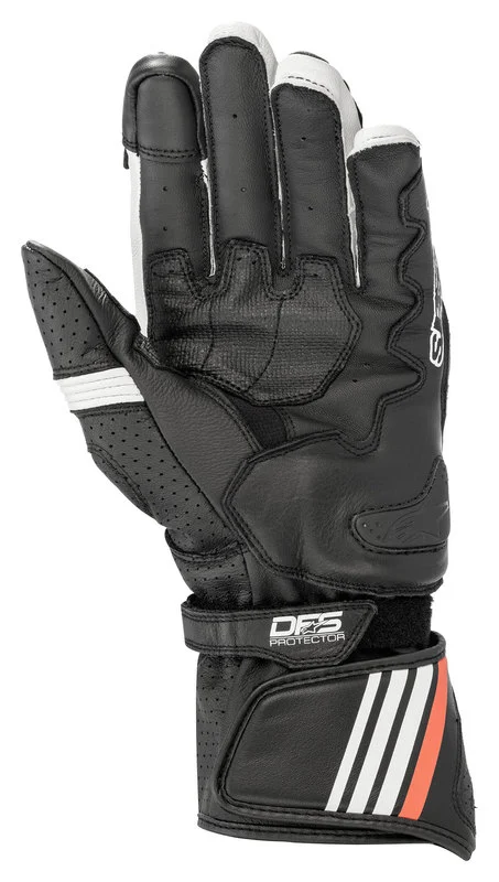 GP Plus R V2