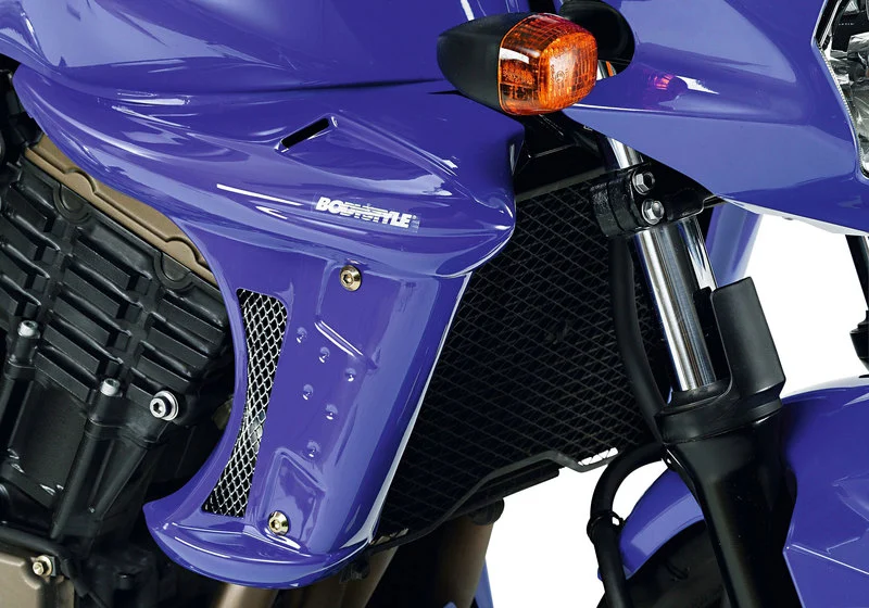 Radiator Cover