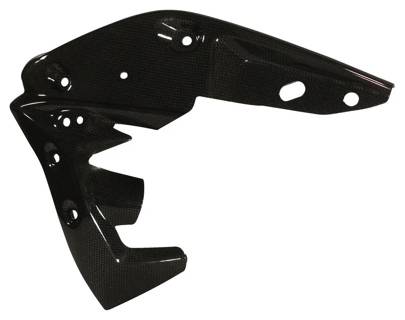Carbon parts Triumph Speed Triple 11-15