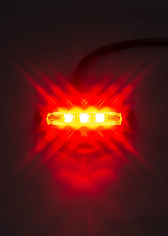 LED tail light with brake light