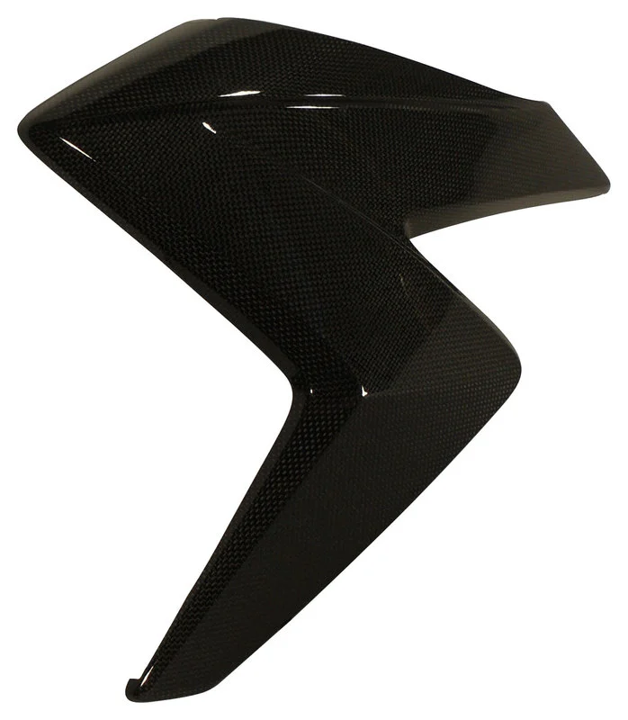 Carbon parts for Honda CB1000 R 08-16