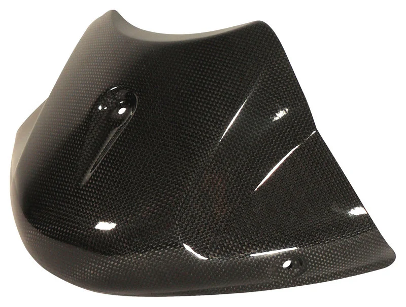 Carbonteile Triumph Speed Triple 11-15
