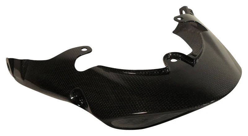 Carbonteile Triumph Speed Triple 11-15
