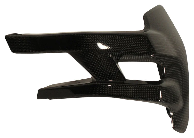 Carbonteile für Ducati Multistrada/glanz