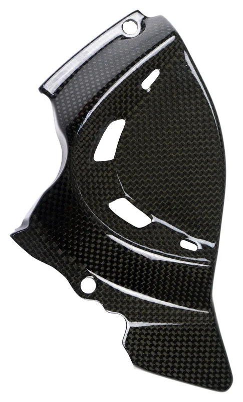 Carbonteile für Ducati Monster/glänzend
