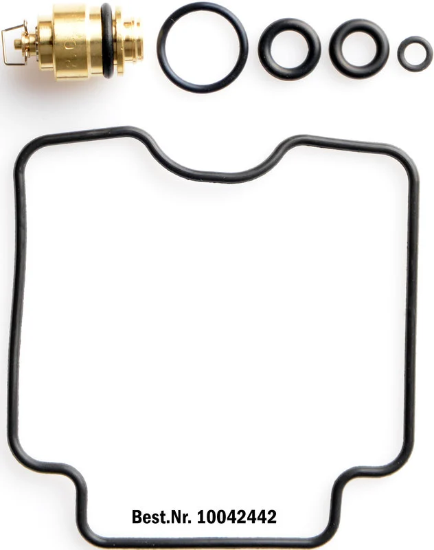 Vergaser-Reparatur-Kit