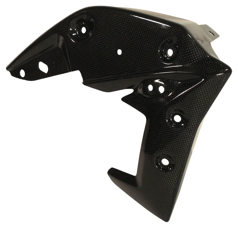 Carbonteile Triumph Speed Triple 11-15