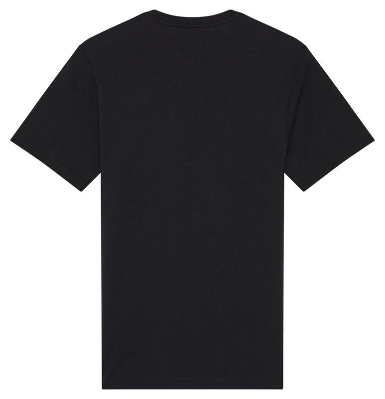 CAMISETA FOX KAWI