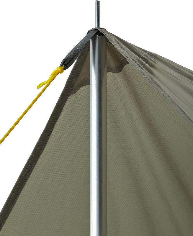 Tarp Oak