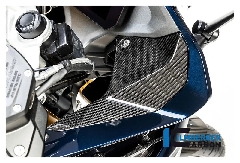 Carbonteile für BMW R1250 R/RS 19-