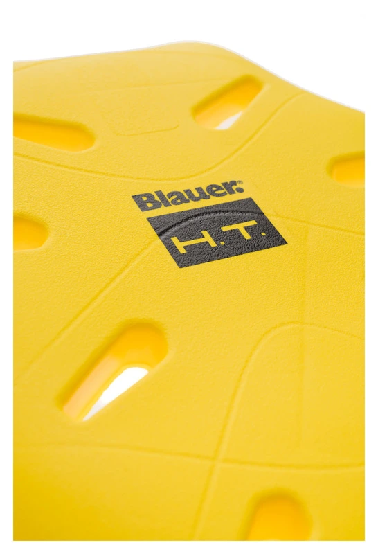 Back Protector