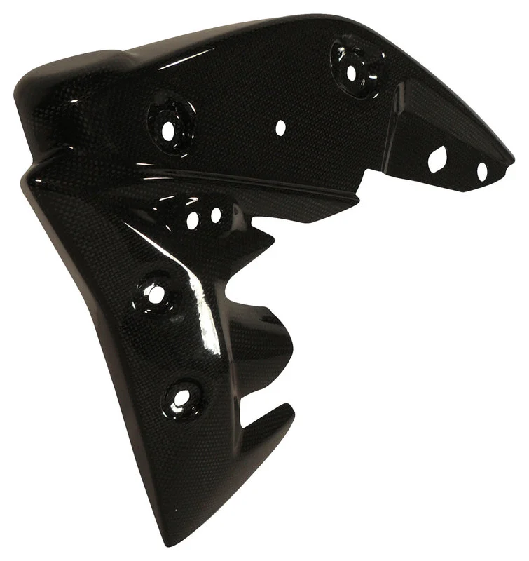 Carbon parts Triumph Speed Triple 11-15