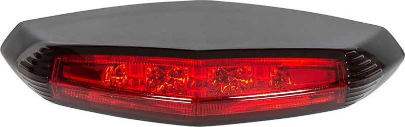 LED tail light with brake light