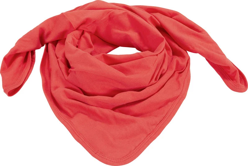 Moto Foulard
