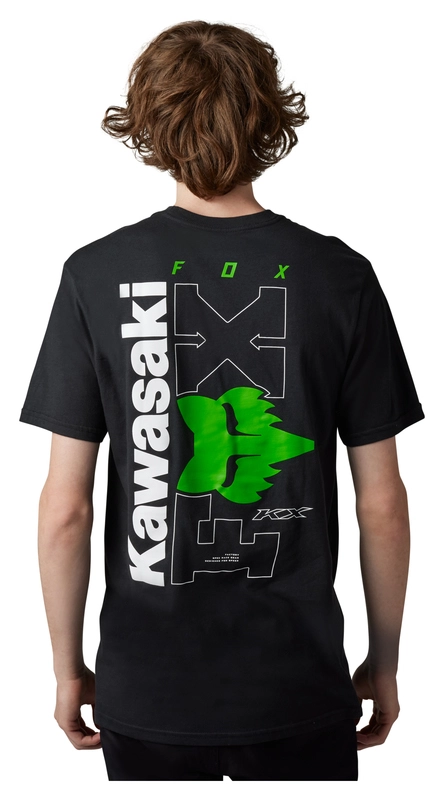 Kawasaki X Kawi