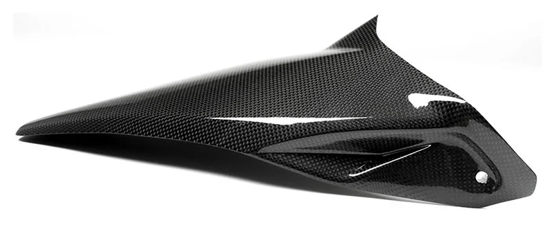 Carbonteile für Ducati Monster 1200 /glänzend