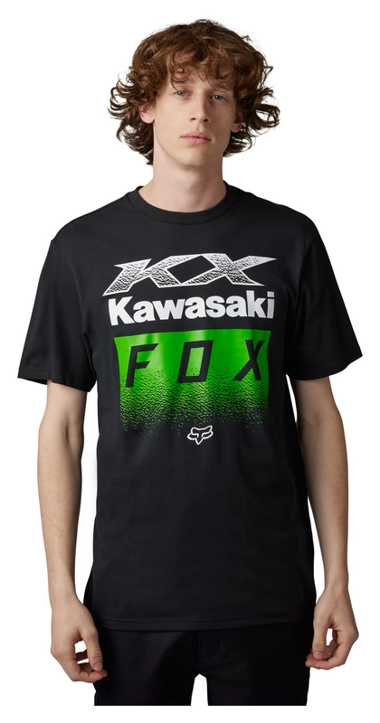 Kawasaki X Kawi