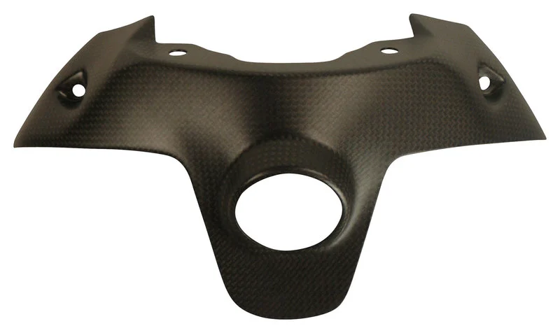 Carbon parts for Ducati Panigale 899/119