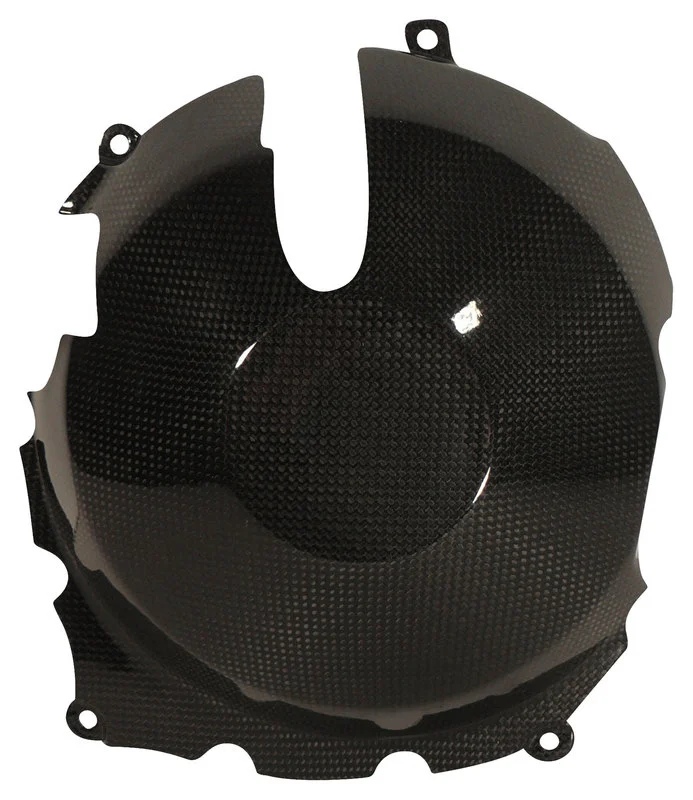 Carbonteile Triumph Speed Triple 11-15