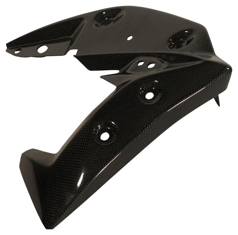 Carbonteile Triumph Speed Triple 11-15