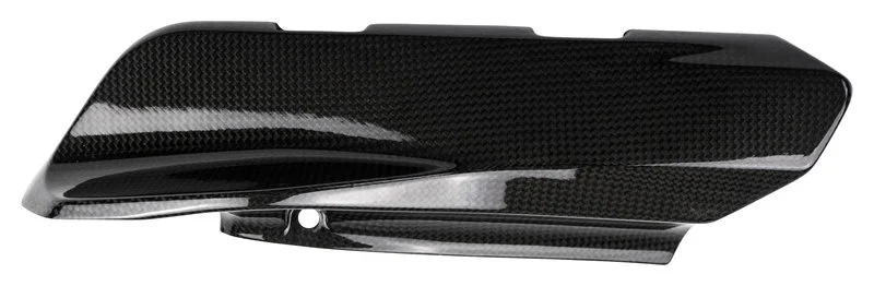 Carbonteile für Ducati Monster/glänzend