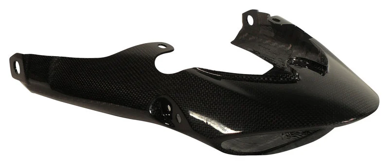 Carbonteile Triumph Speed Triple 11-15