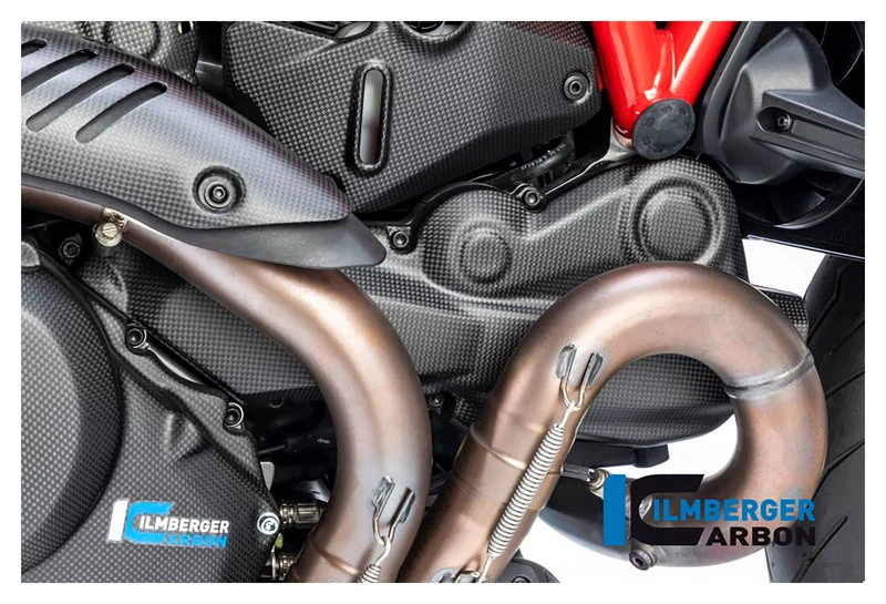 Carbon parts for Ducati Monster 1200/matte