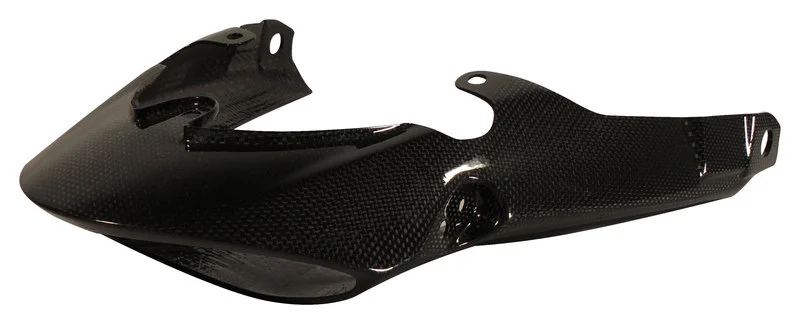 Carbonteile Triumph Speed Triple 11-15